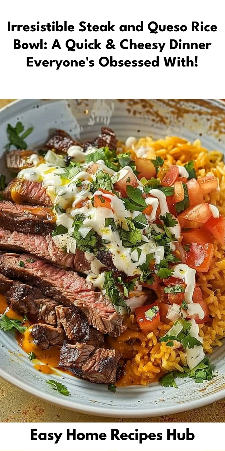 Steak and Queso Rice Bowl: A Quick Dinner Recipe