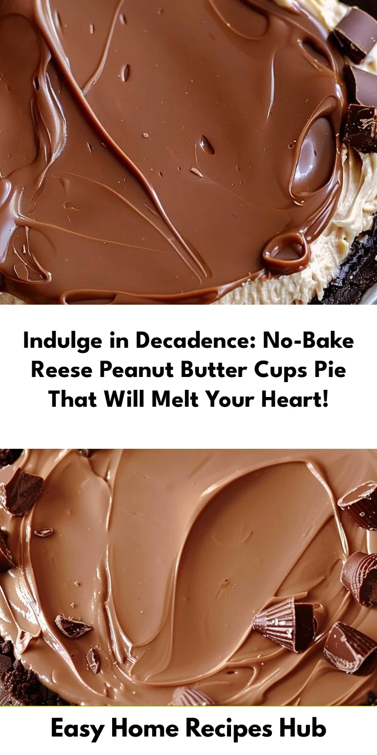 No-Bake Reese Peanut Butter Cups Pie