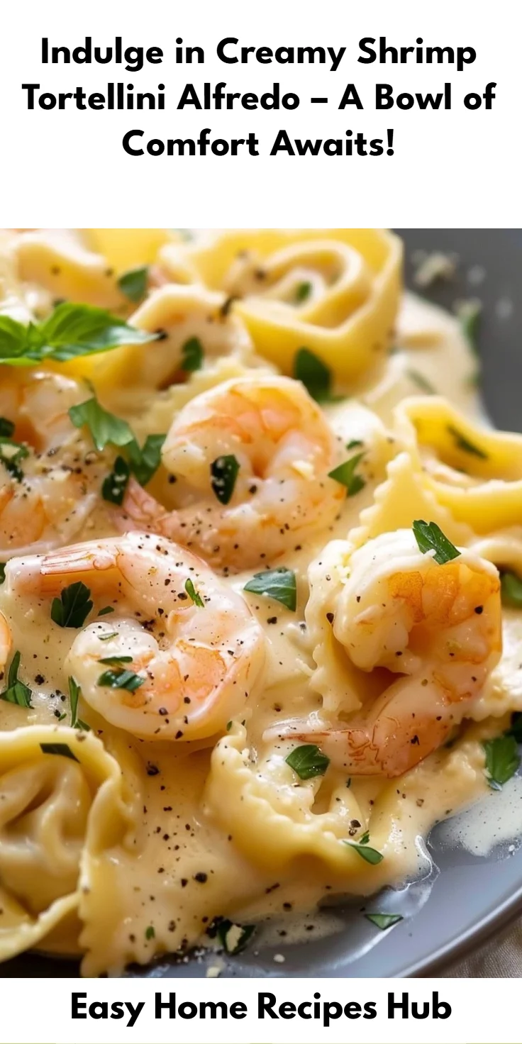 Shrimp Tortellini Alfredo Recipe